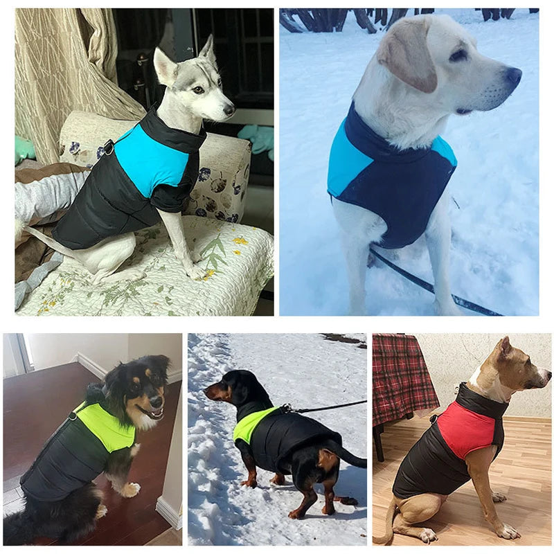 Waterproof & Warm Dog Jacket for Small, Medium, Large Breeds