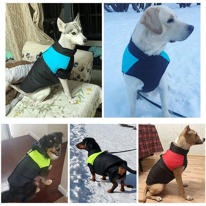 Waterproof & Warm Dog Jacket for Small, Medium, Large Breeds
