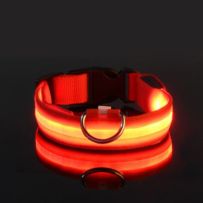 LED Dog Collar – Light Up Glow in The Dark Nylon Pet Collar for Night Safety, Adjustable Luminous Dog Collar