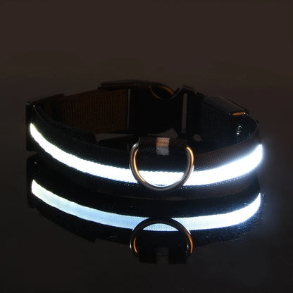LED Dog Collar – Light Up Glow in The Dark Nylon Pet Collar for Night Safety, Adjustable Luminous Dog Collar