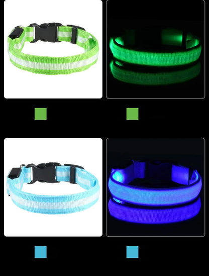 LED Dog Collar – Light Up Glow in The Dark Nylon Pet Collar for Night Safety, Adjustable Luminous Dog Collar