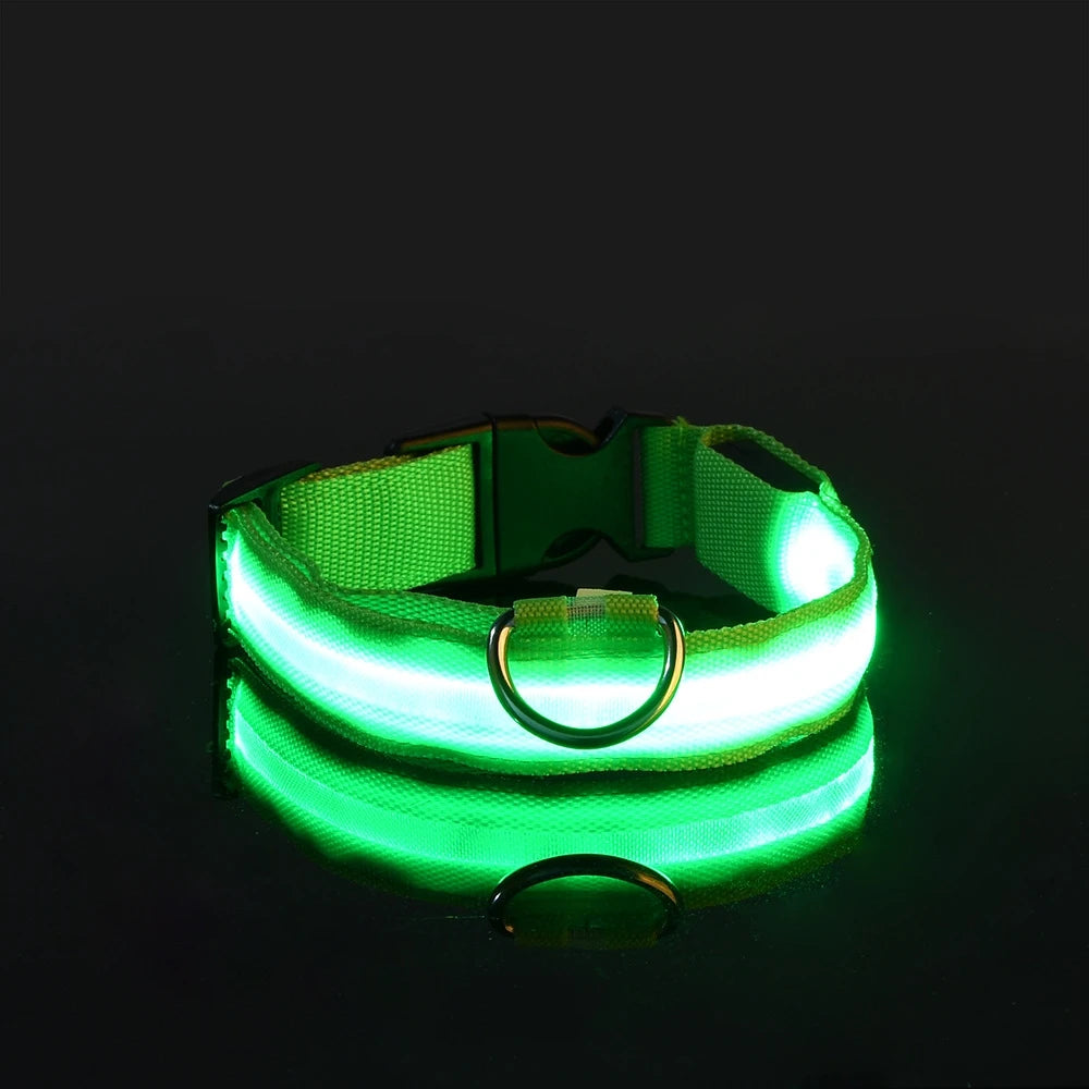 LED Dog Collar – Light Up Glow in The Dark Nylon Pet Collar for Night Safety, Adjustable Luminous Dog Collar