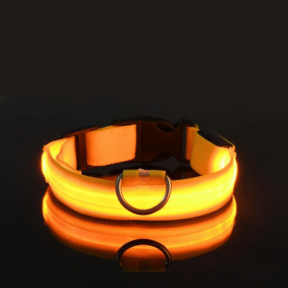 LED Dog Collar – Light Up Glow in The Dark Nylon Pet Collar for Night Safety, Adjustable Luminous Dog Collar