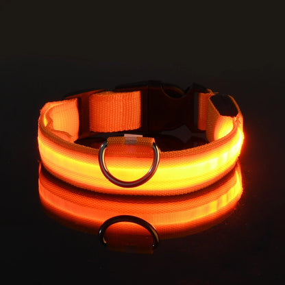 LED Dog Collar – Light Up Glow in The Dark Nylon Pet Collar for Night Safety, Adjustable Luminous Dog Collar