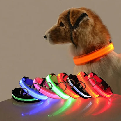 LED Dog Collar – Light Up Glow in The Dark Nylon Pet Collar for Night Safety, Adjustable Luminous Dog Collar