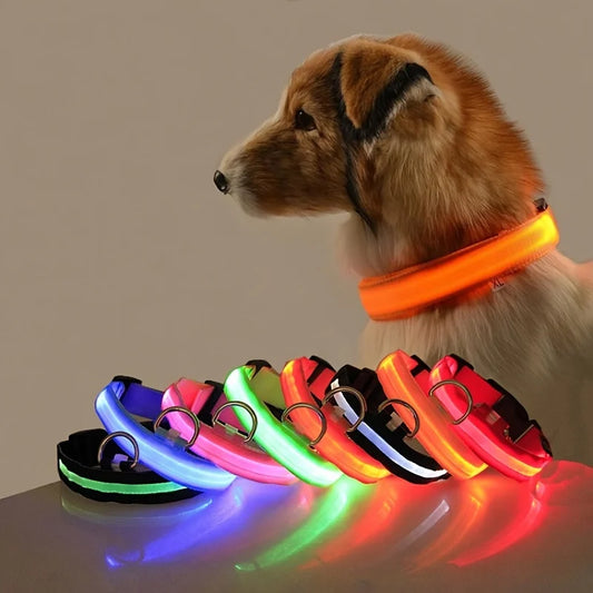 LED Dog Collar – Light Up Glow in The Dark Nylon Pet Collar for Night Safety, Adjustable Luminous Dog Collar
