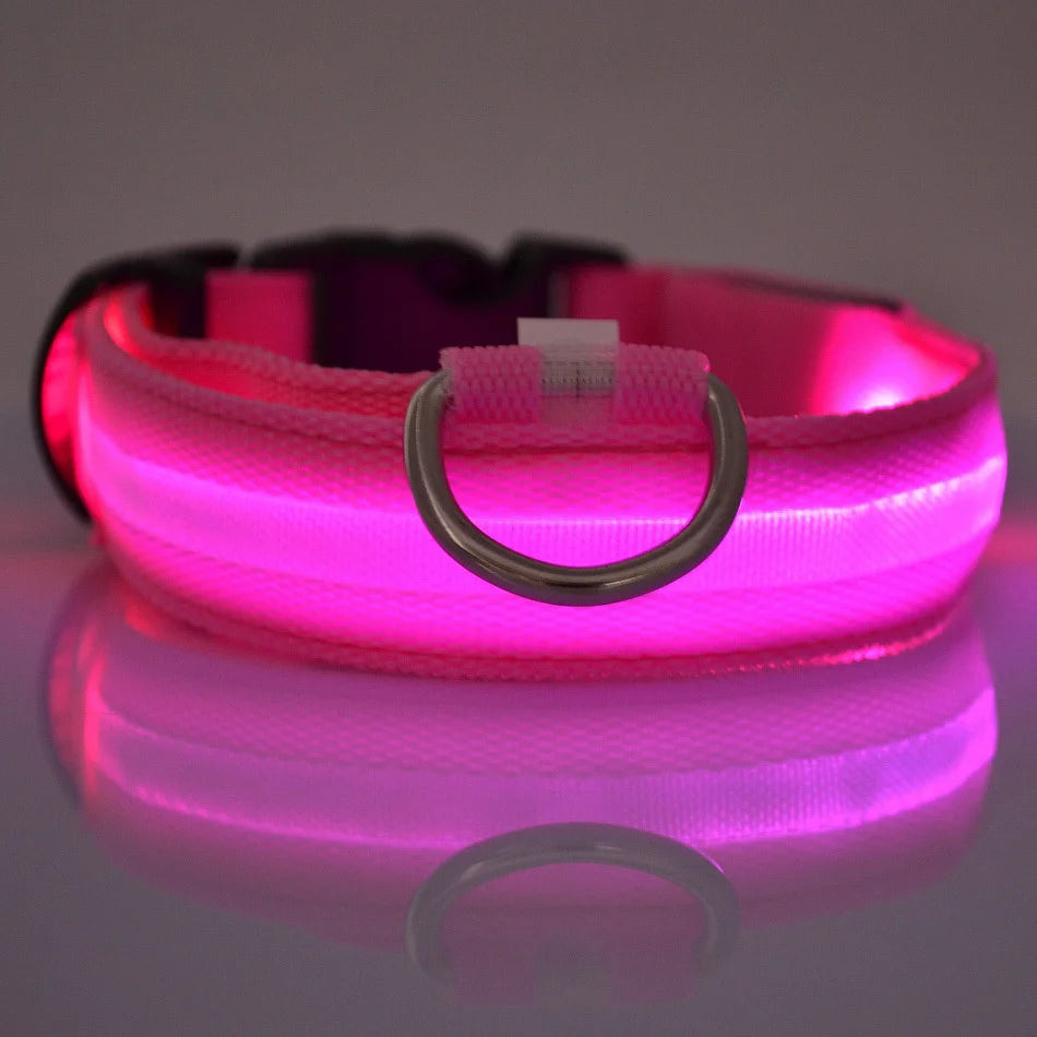 LED Dog Collar – Light Up Glow in The Dark Nylon Pet Collar for Night Safety, Adjustable Luminous Dog Collar