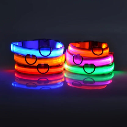 LED Dog Collar – Light Up Glow in The Dark Nylon Pet Collar for Night Safety, Adjustable Luminous Dog Collar