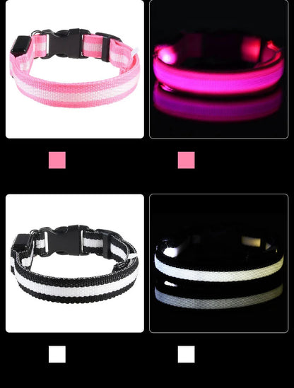 LED Dog Collar – Light Up Glow in The Dark Nylon Pet Collar for Night Safety, Adjustable Luminous Dog Collar