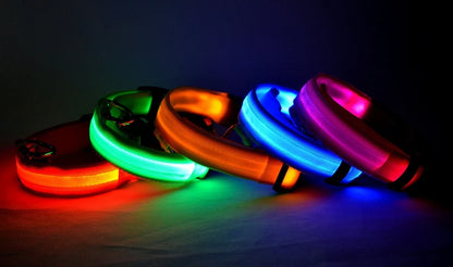 LED Dog Collar – Light Up Glow in The Dark Nylon Pet Collar for Night Safety, Adjustable Luminous Dog Collar