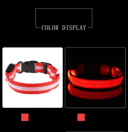 LED Dog Collar – Light Up Glow in The Dark Nylon Pet Collar for Night Safety, Adjustable Luminous Dog Collar